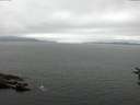 ./images/koeye/fitz-hugh/20160717/fitz-hugh20160717_110302.jpg