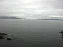 ./images/koeye/fitz-hugh/20160717/fitz-hugh20160717_120006.jpg
