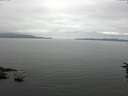 ./images/koeye/fitz-hugh/20160717/fitz-hugh20160717_120303.jpg