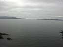 ./images/koeye/fitz-hugh/20160717/fitz-hugh20160717_122403.jpg