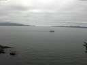 ./images/koeye/fitz-hugh/20160717/fitz-hugh20160717_123303.jpg