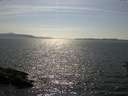 ./images/koeye/fitz-hugh/20160717/fitz-hugh20160717_163302.jpg
