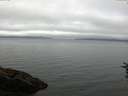 ./images/koeye/fitz-hugh/20160718/fitz-hugh20160718_070302.jpg
