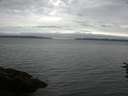./images/koeye/fitz-hugh/20160718/fitz-hugh20160718_080302.jpg
