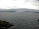 ./images/koeye/fitz-hugh/20160718/fitz-hugh20160718_090301.jpg