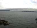 ./images/koeye/fitz-hugh/20160718/fitz-hugh20160718_103302.jpg