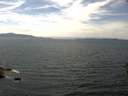 ./images/koeye/fitz-hugh/20160718/fitz-hugh20160718_140302.jpg