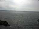 ./images/koeye/fitz-hugh/20160718/fitz-hugh20160718_163303.jpg