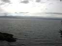 ./images/koeye/fitz-hugh/20160718/fitz-hugh20160718_170303.jpg