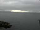 ./images/koeye/fitz-hugh/20160718/fitz-hugh20160718_190302.jpg