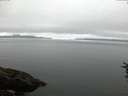 ./images/koeye/fitz-hugh/20160719/fitz-hugh20160719_053301.jpg