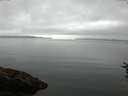 ./images/koeye/fitz-hugh/20160719/fitz-hugh20160719_063302.jpg