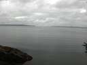 ./images/koeye/fitz-hugh/20160719/fitz-hugh20160719_080005.jpg