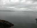 ./images/koeye/fitz-hugh/20160719/fitz-hugh20160719_080303.jpg