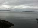 ./images/koeye/fitz-hugh/20160719/fitz-hugh20160719_090302.jpg
