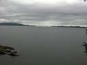 ./images/koeye/fitz-hugh/20160719/fitz-hugh20160719_120006.jpg