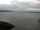 ./images/koeye/fitz-hugh/20160720/fitz-hugh20160720_070302.jpg