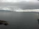 ./images/koeye/fitz-hugh/20160720/fitz-hugh20160720_122702.jpg