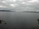 ./images/koeye/fitz-hugh/20160720/fitz-hugh20160720_140002.jpg