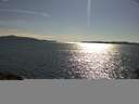 ./images/koeye/fitz-hugh/20160721/fitz-hugh20160721_173302.jpg