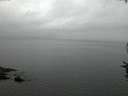 ./images/koeye/fitz-hugh/20160722/fitz-hugh20160722_050302.jpg