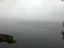 ./images/koeye/fitz-hugh/20160722/fitz-hugh20160722_060004.jpg