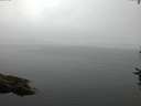 ./images/koeye/fitz-hugh/20160722/fitz-hugh20160722_060303.jpg