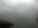 ./images/koeye/fitz-hugh/20160722/fitz-hugh20160722_080004.jpg