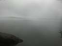 ./images/koeye/fitz-hugh/20160722/fitz-hugh20160722_080303.jpg