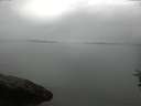 ./images/koeye/fitz-hugh/20160722/fitz-hugh20160722_090302.jpg