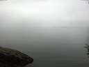 ./images/koeye/fitz-hugh/20160722/fitz-hugh20160722_093301.jpg