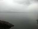 ./images/koeye/fitz-hugh/20160722/fitz-hugh20160722_110301.jpg