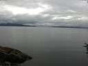 ./images/koeye/fitz-hugh/20160722/fitz-hugh20160722_113301.jpg