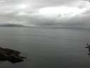 ./images/koeye/fitz-hugh/20160722/fitz-hugh20160722_123302.jpg
