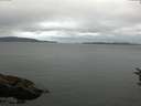 ./images/koeye/fitz-hugh/20160723/fitz-hugh20160723_073302.jpg