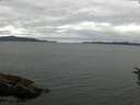 ./images/koeye/fitz-hugh/20160723/fitz-hugh20160723_123302.jpg