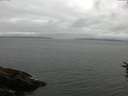 ./images/koeye/fitz-hugh/20160724/fitz-hugh20160724_122701.jpg