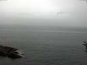 ./images/koeye/fitz-hugh/20160724/fitz-hugh20160724_140003.jpg