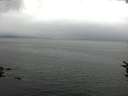 ./images/koeye/fitz-hugh/20160724/fitz-hugh20160724_160004.jpg