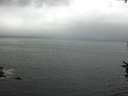 ./images/koeye/fitz-hugh/20160724/fitz-hugh20160724_160302.jpg