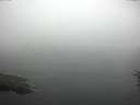 ./images/koeye/fitz-hugh/20160725/fitz-hugh20160725_080006.jpg