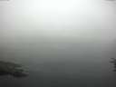 ./images/koeye/fitz-hugh/20160725/fitz-hugh20160725_080301.jpg
