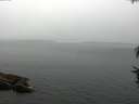 ./images/koeye/fitz-hugh/20160727/fitz-hugh20160727_100008.jpg