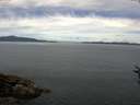 ./images/koeye/fitz-hugh/20160727/fitz-hugh20160727_121507.jpg