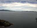 ./images/koeye/fitz-hugh/20160727/fitz-hugh20160727_122703.jpg