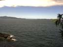 ./images/koeye/fitz-hugh/20160729/fitz-hugh20160729_120005.jpg
