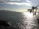 ./images/koeye/fitz-hugh/20160729/fitz-hugh20160729_180004.jpg