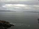 ./images/koeye/fitz-hugh/20160731/fitz-hugh20160731_080005.jpg