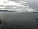 ./images/koeye/fitz-hugh/20160801/fitz-hugh20160801_121802.jpg