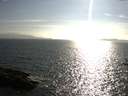 ./images/koeye/fitz-hugh/20160802/fitz-hugh20160802_180003.jpg